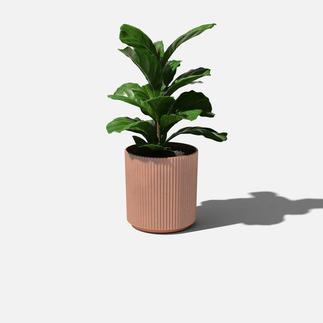 demi planter
