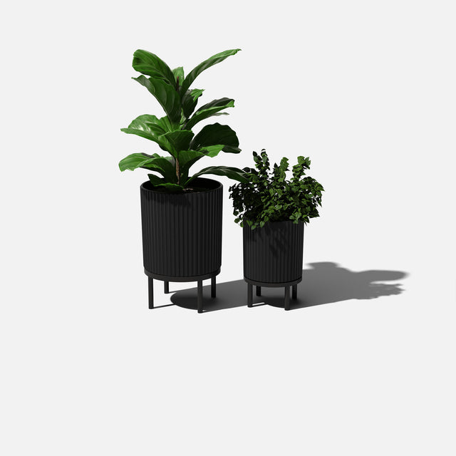 demi raised duo
