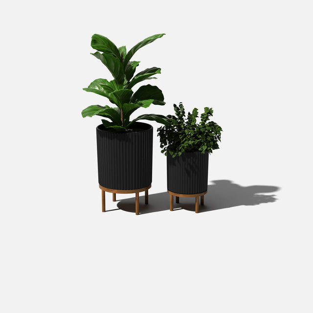 demi raised duo