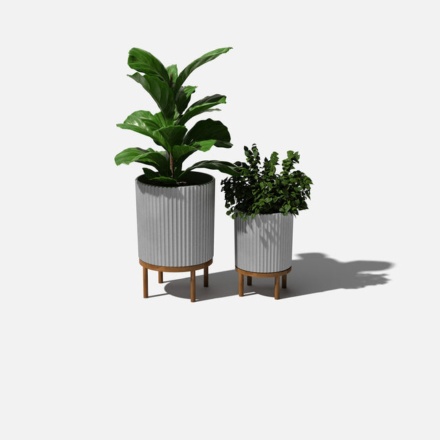 demi raised duo