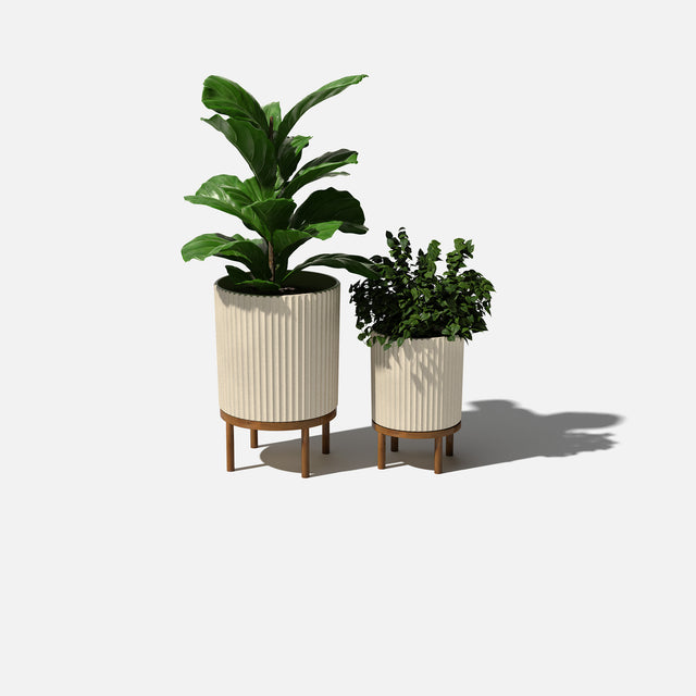 demi raised duo