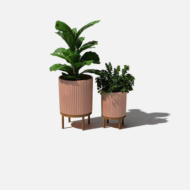 demi raised duo