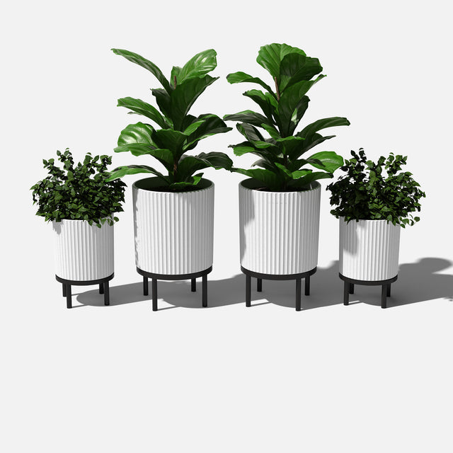 demi raised duo