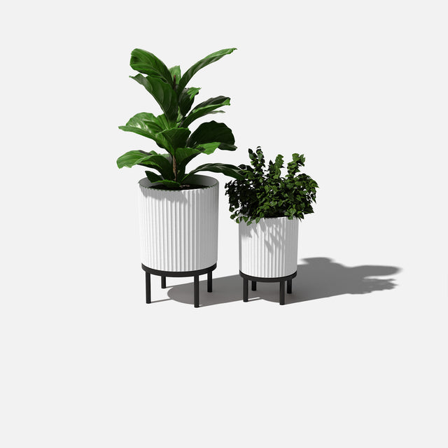 demi raised duo