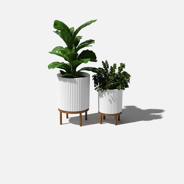 demi raised duo