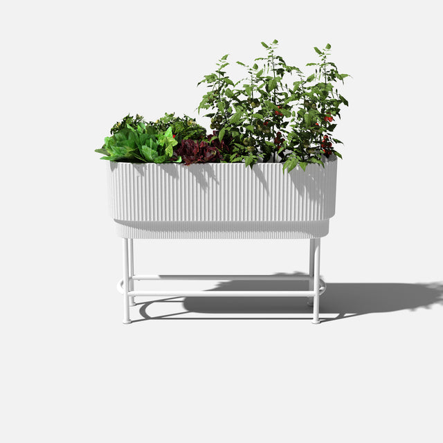 demi raised garden bed