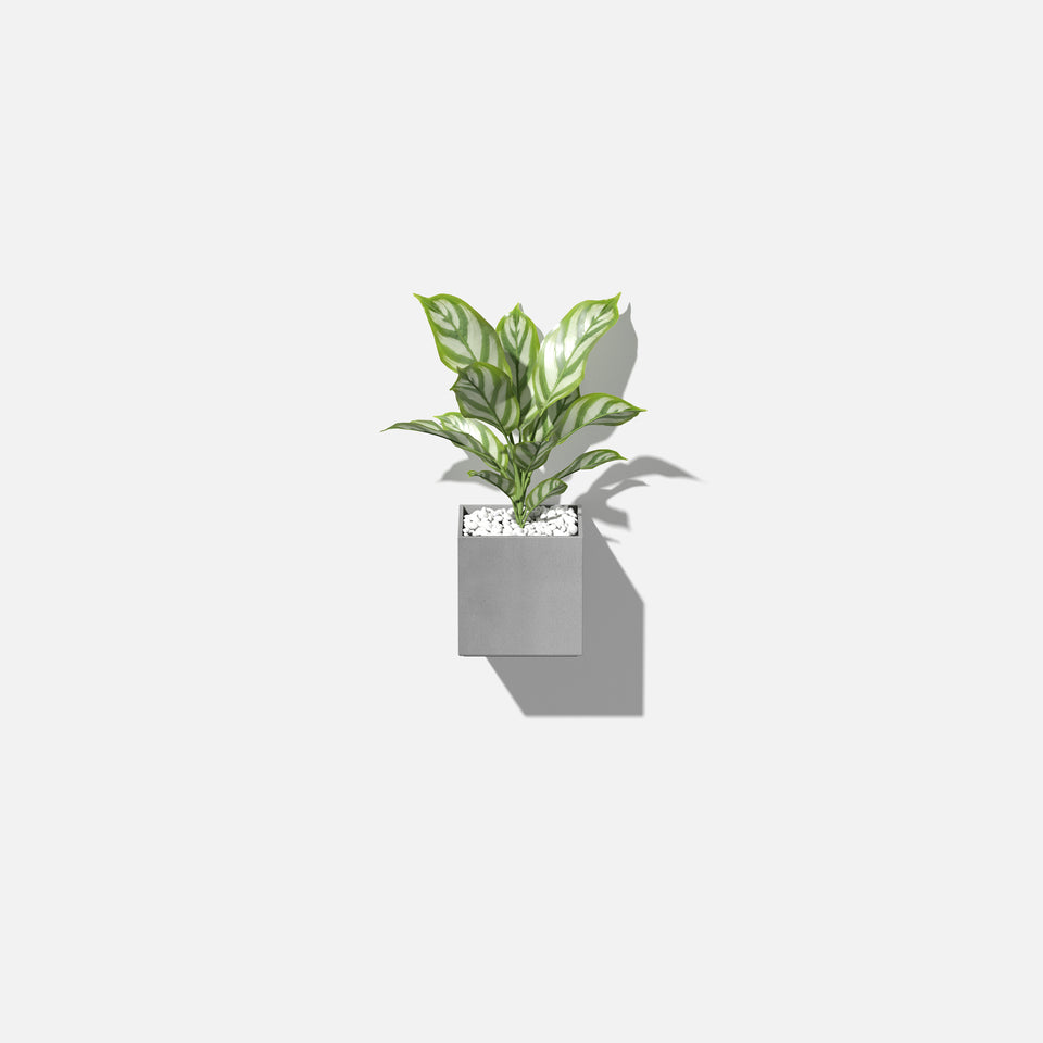 geo hanging cube planter