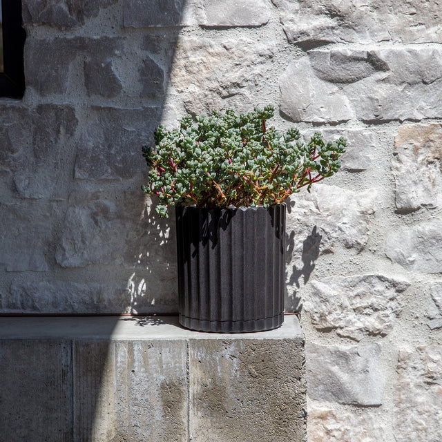 demi six planter