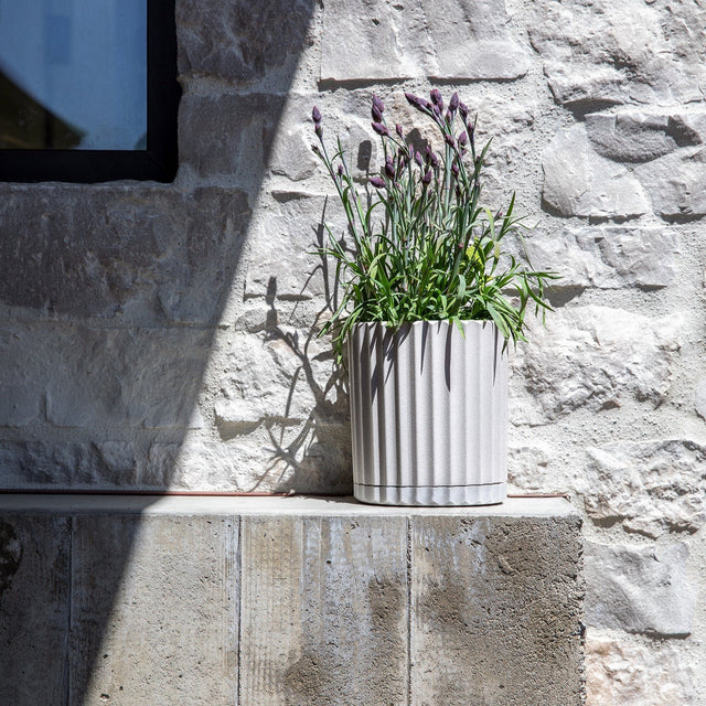demi six planter