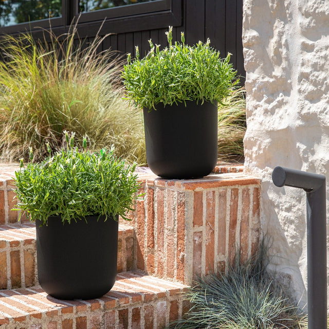 mason kona planter