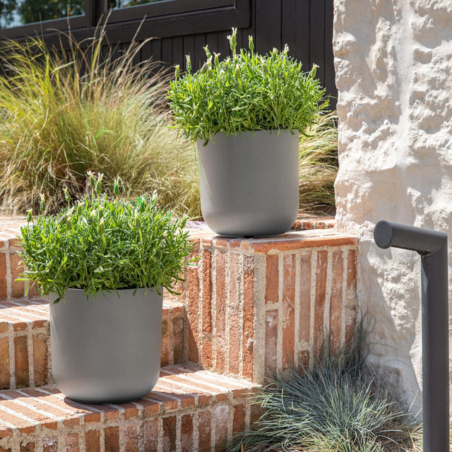 mason kona planter