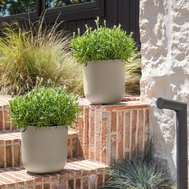 mason kona planter