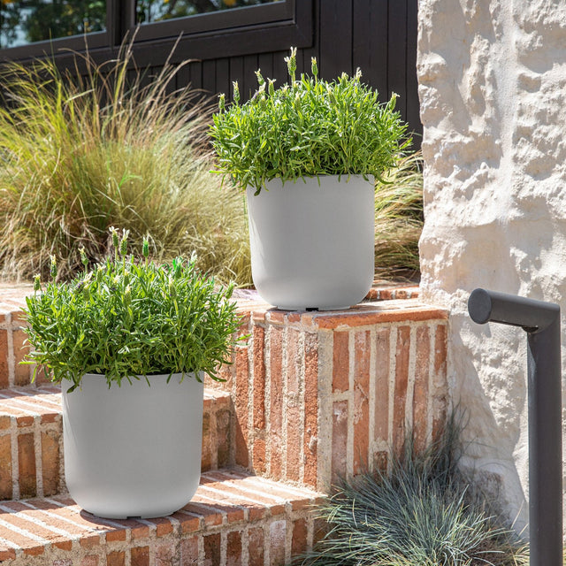 mason kona planter