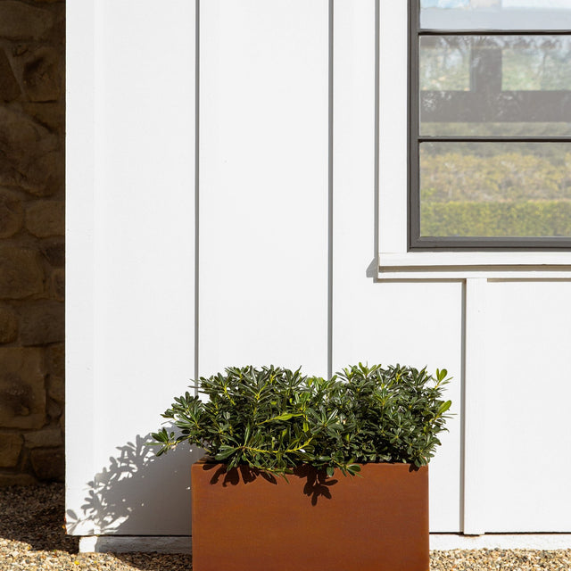 corten long box planter