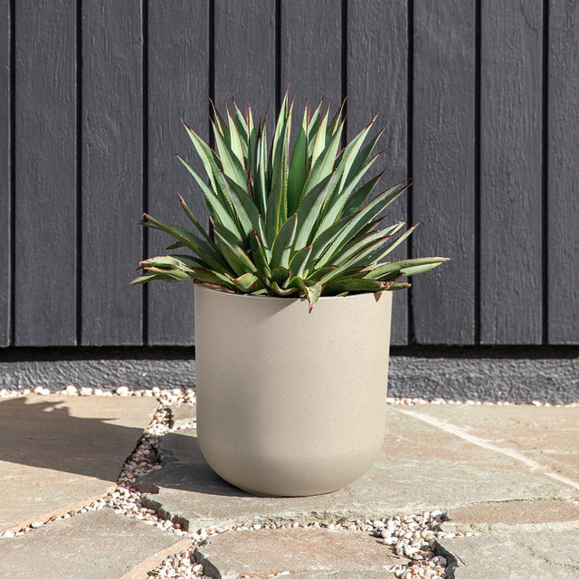 mason kona planter