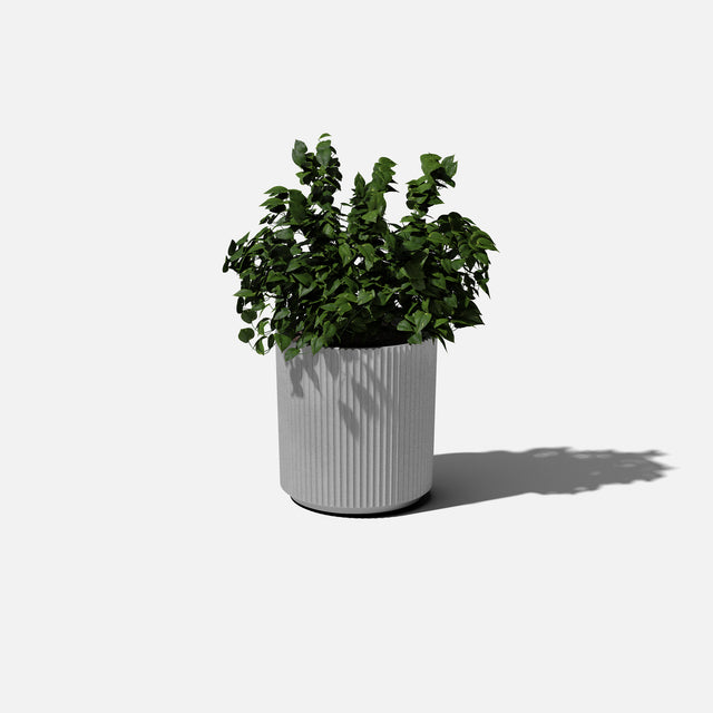 demi planter