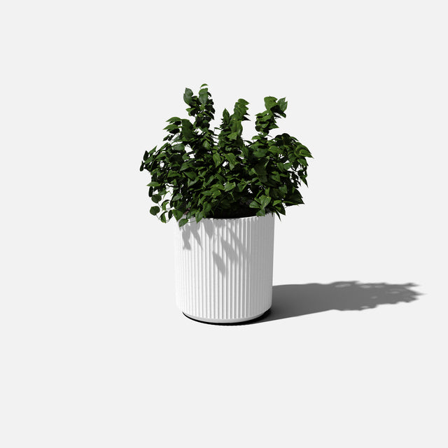 demi planter