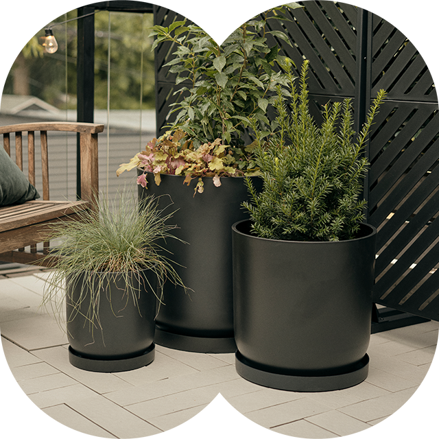 Mason Kona Planter Trio planters with plants on a patio