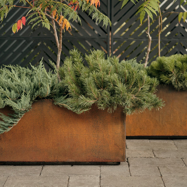 Corten Steel Long Box Planter with seasonal winter arrangement
