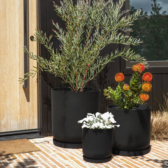 mason kona planter trio