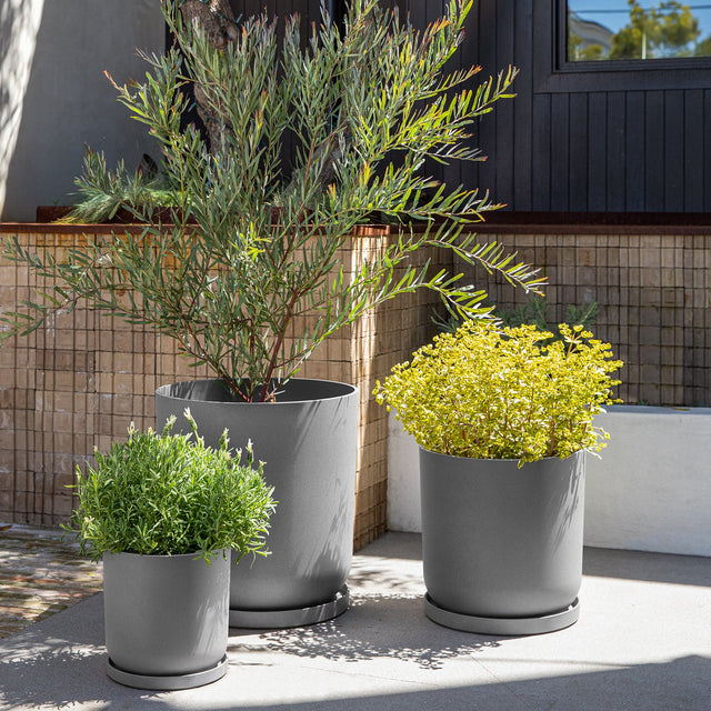 mason kona planter trio