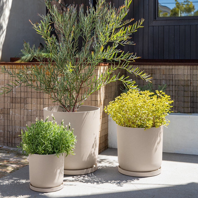 mason kona planter trio