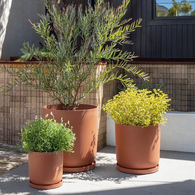 mason kona planter trio
