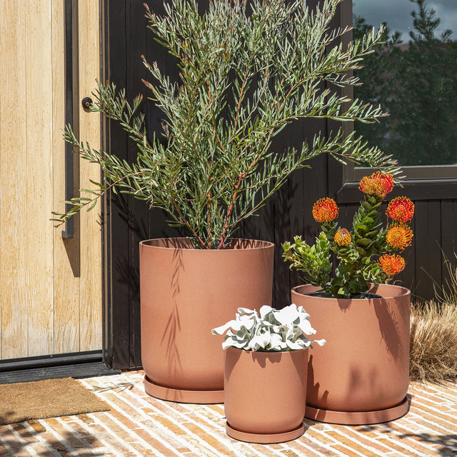 mason kona planter trio