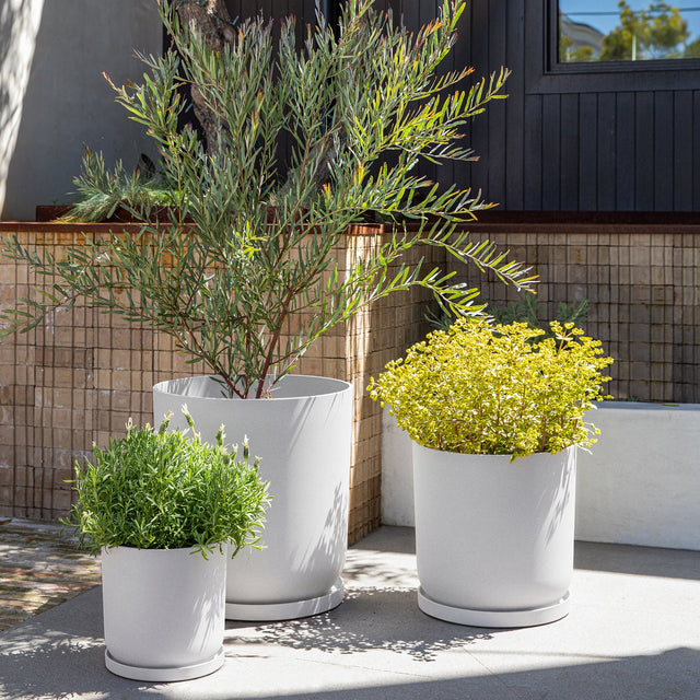 mason kona planter trio