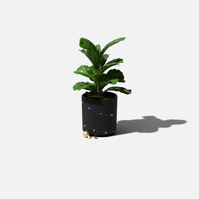 demi planter