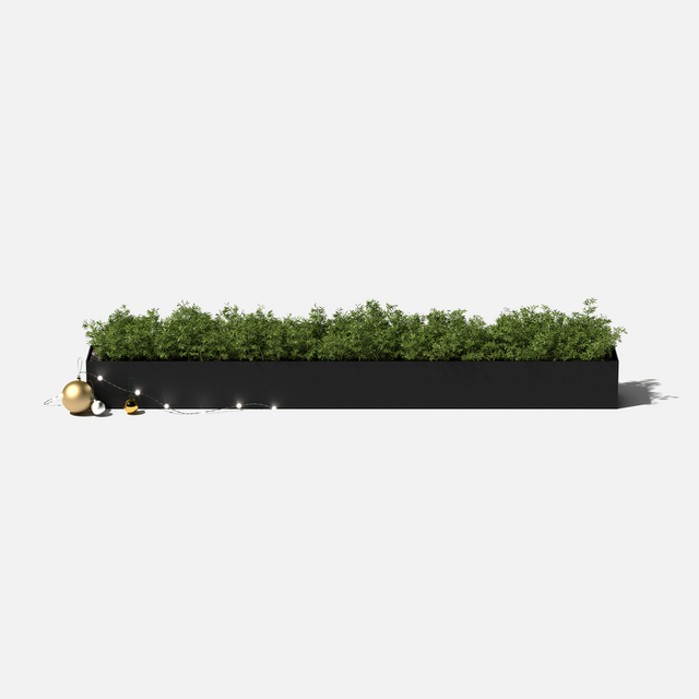 geo trough planter