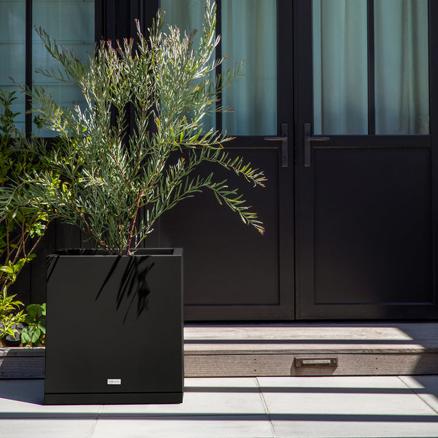 block cube – the only tray™