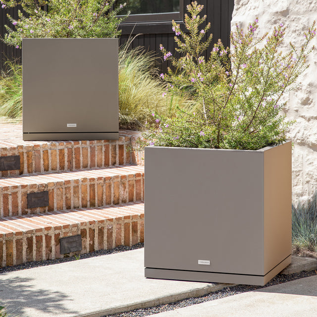 block cube – the only tray™