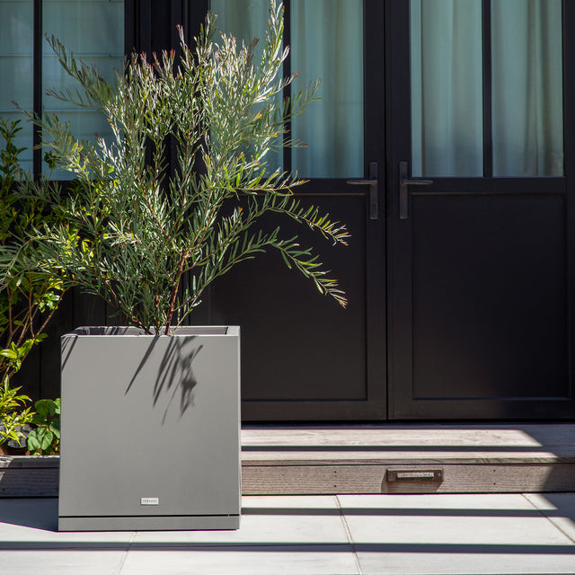 block cube – the only tray™