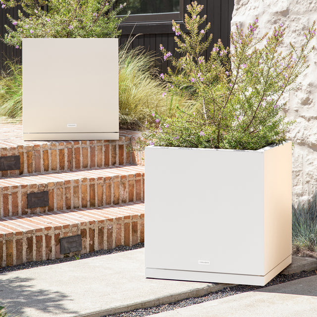 block cube – the only tray™