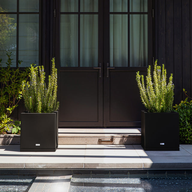 block cube – the only tray™