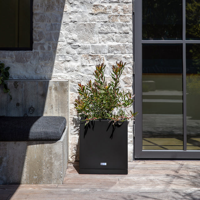 block cube – the only tray™