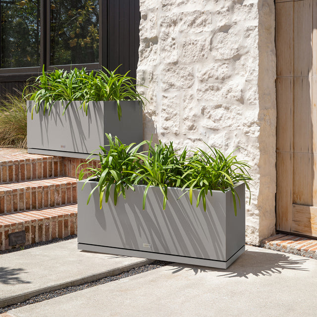 block long box – the only tray™