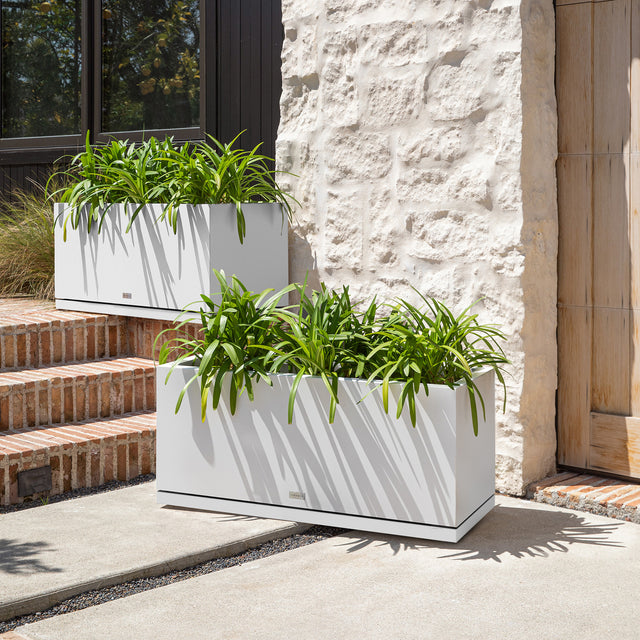 block long box – the only tray™