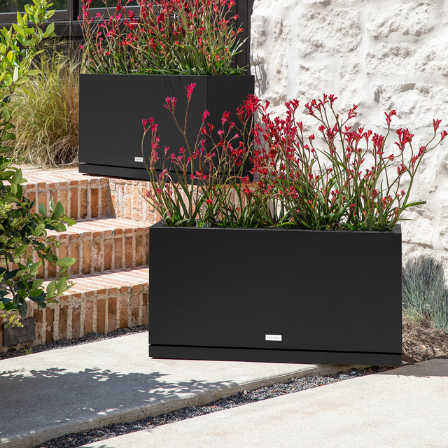 block long box – the only tray™