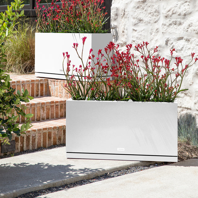 block long box – the only tray™