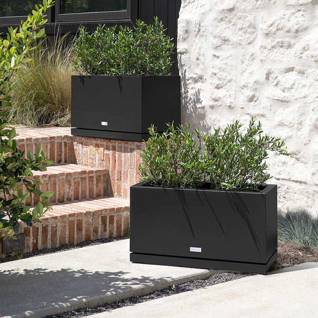 block long box – the only tray™