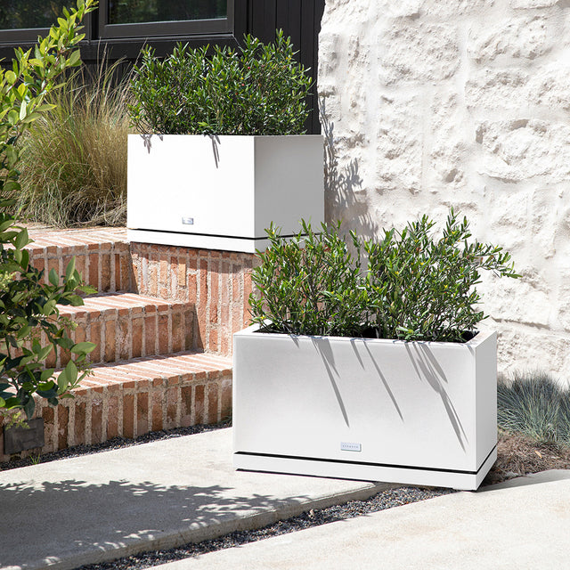 block long box – the only tray™