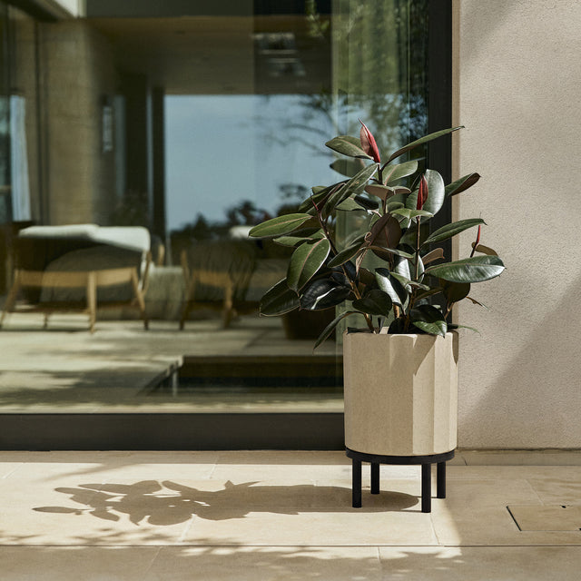 column raised planter