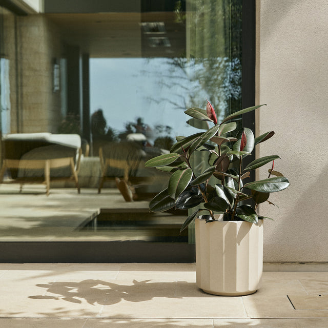 column planter