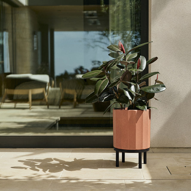 column raised planter