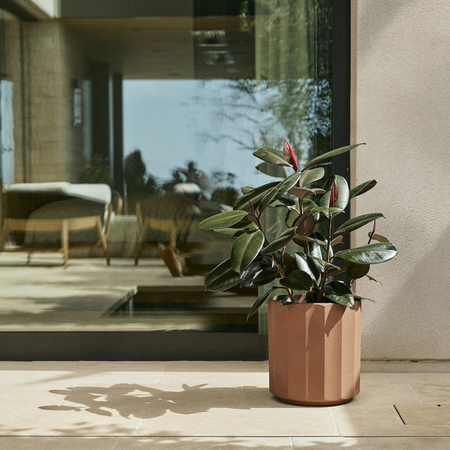column planter