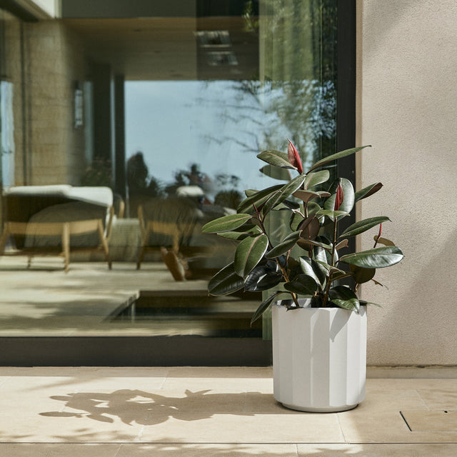 column planter