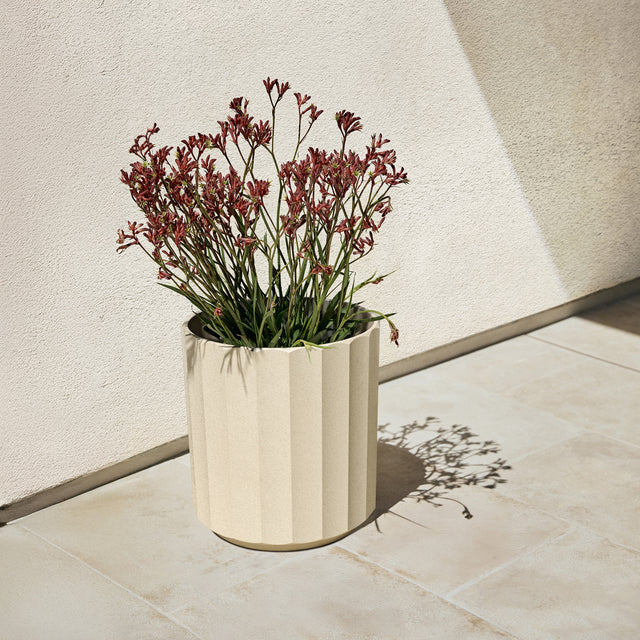 column planter