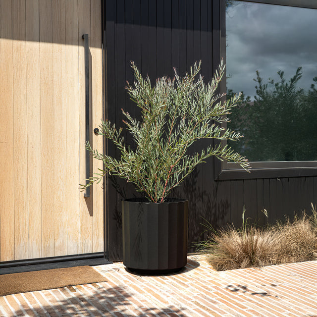 column planter